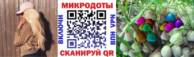 Галлюциногенные грибы Cubensis  Купить  Североморск 